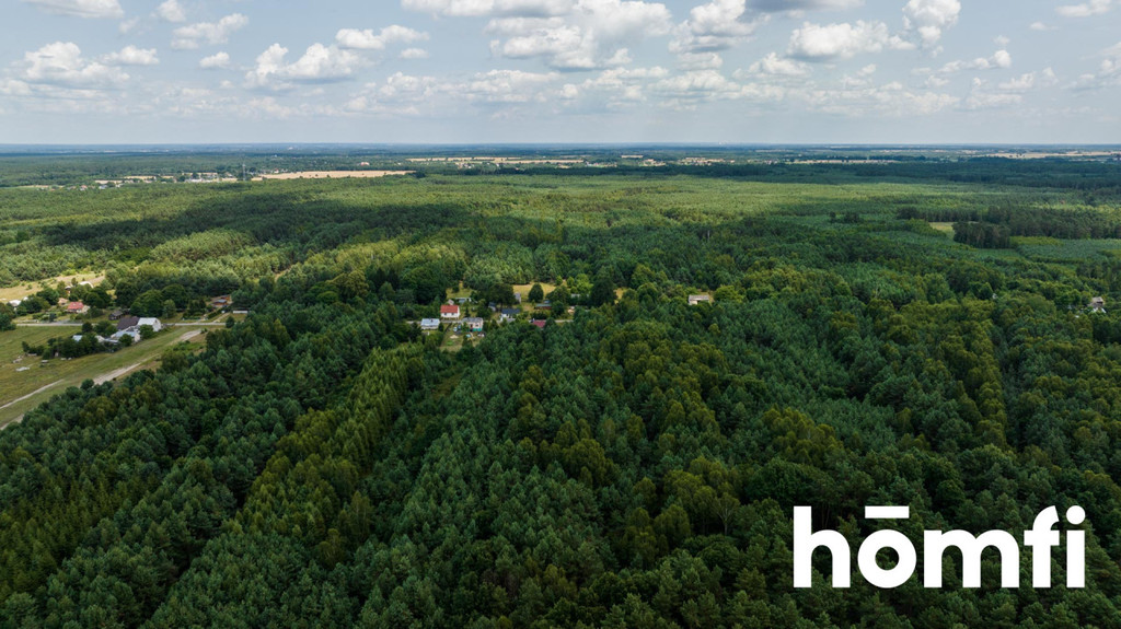 Działka rolna 5400&nbsp;m², Brzustów - zdjęcie 7