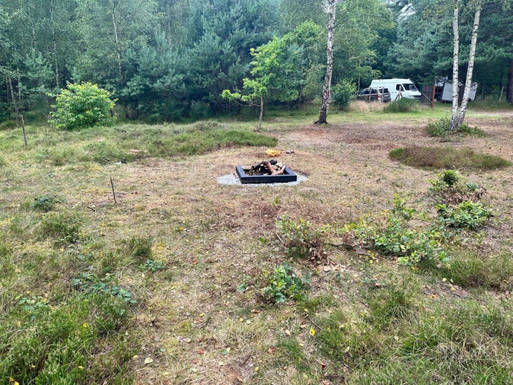 Sprzedam działkę leśną Chłapowo pod kamping - zdjęcie 1