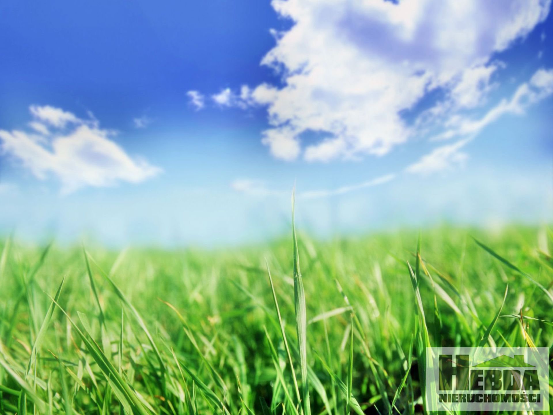 Na sprzedaż działka budowlana około 37 arów, Lipiny gm. Dąbrowa tarnowska - zdjęcie 1