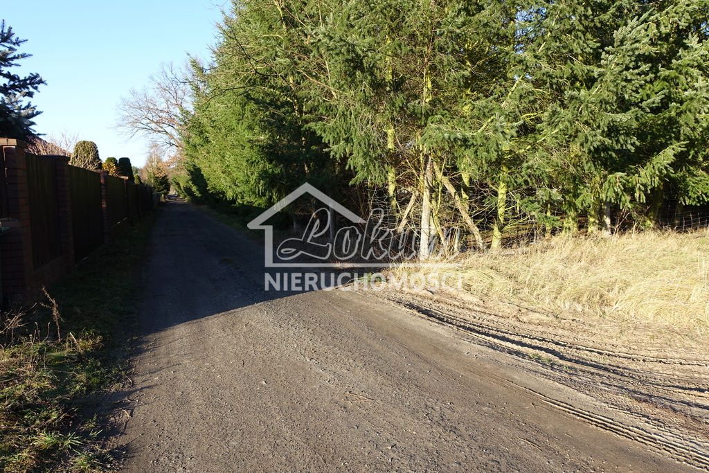 Działka rolna 1263&nbsp;m², Tanowo - zdjęcie 3