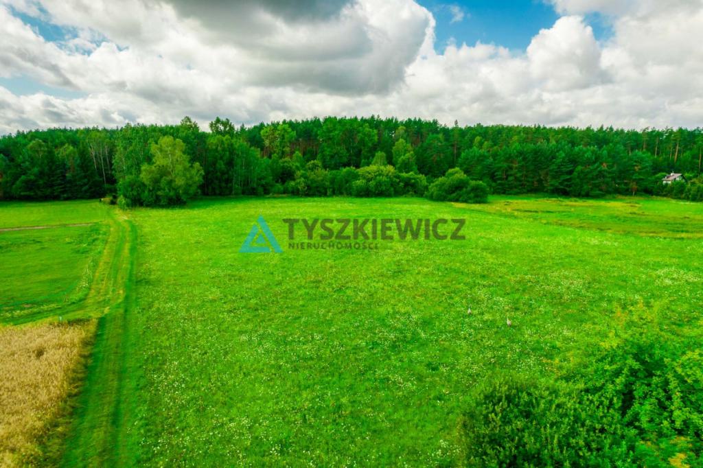 Działki z widokiem i dostępem do jeziora! - zdjęcie 16