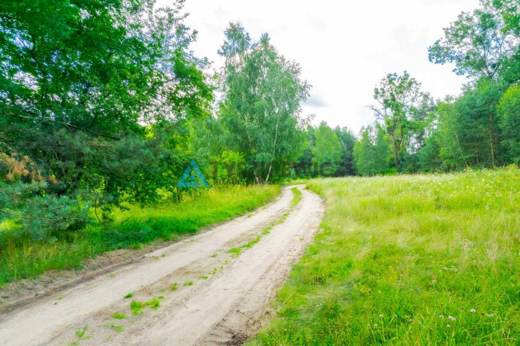 Działki z widokiem i dostępem do jeziora! - zdjęcie 21