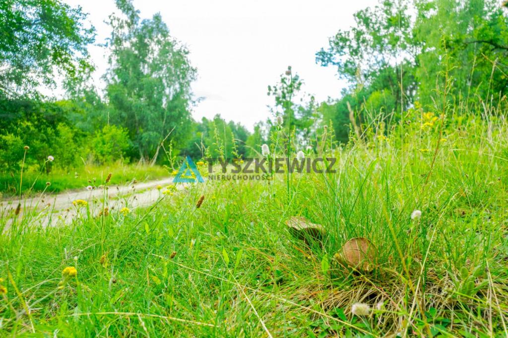 Działki z widokiem i dostępem do jeziora! - zdjęcie 20