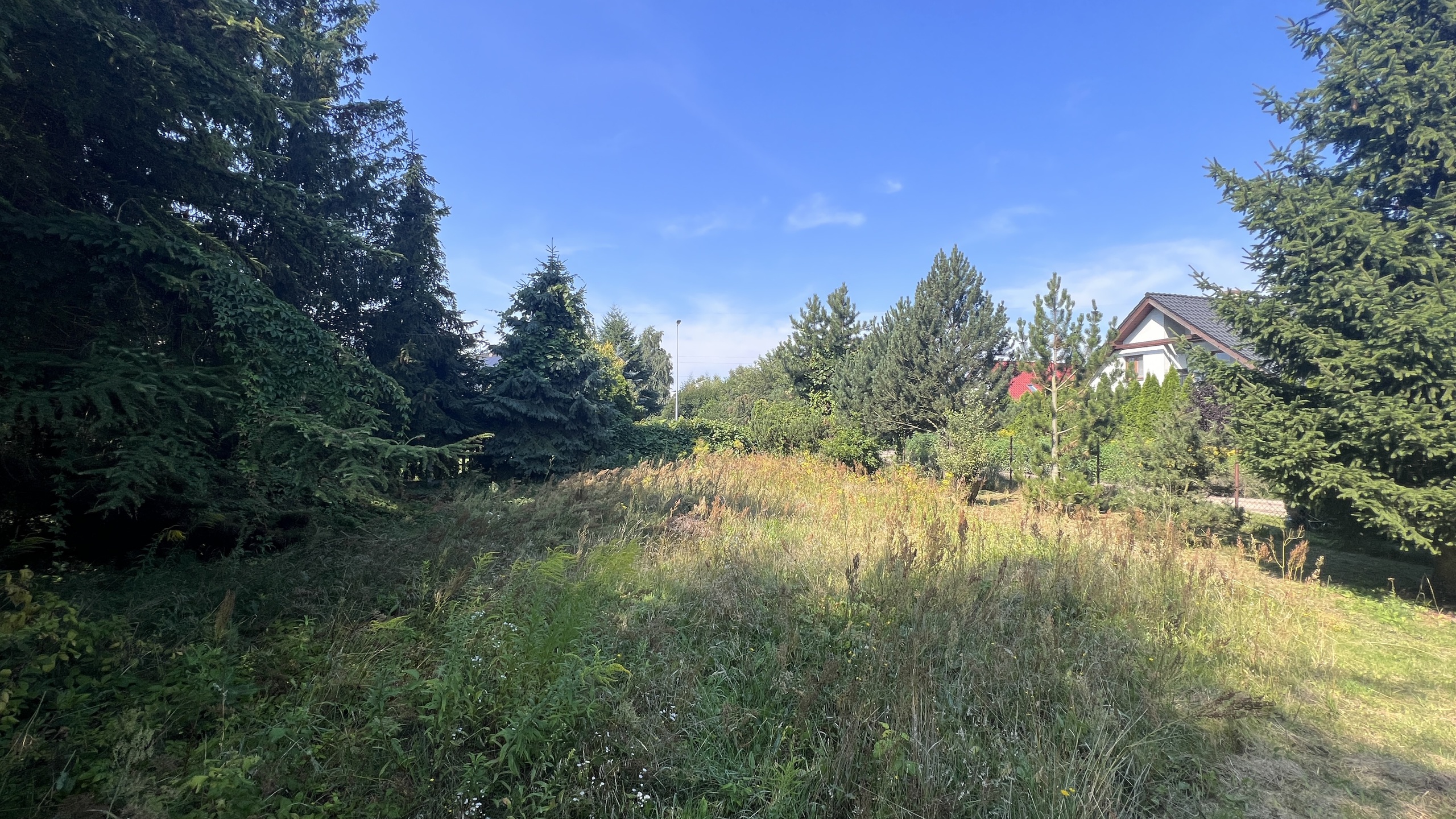 Malownicza działka w spokojne okolicy - zdjęcie 3