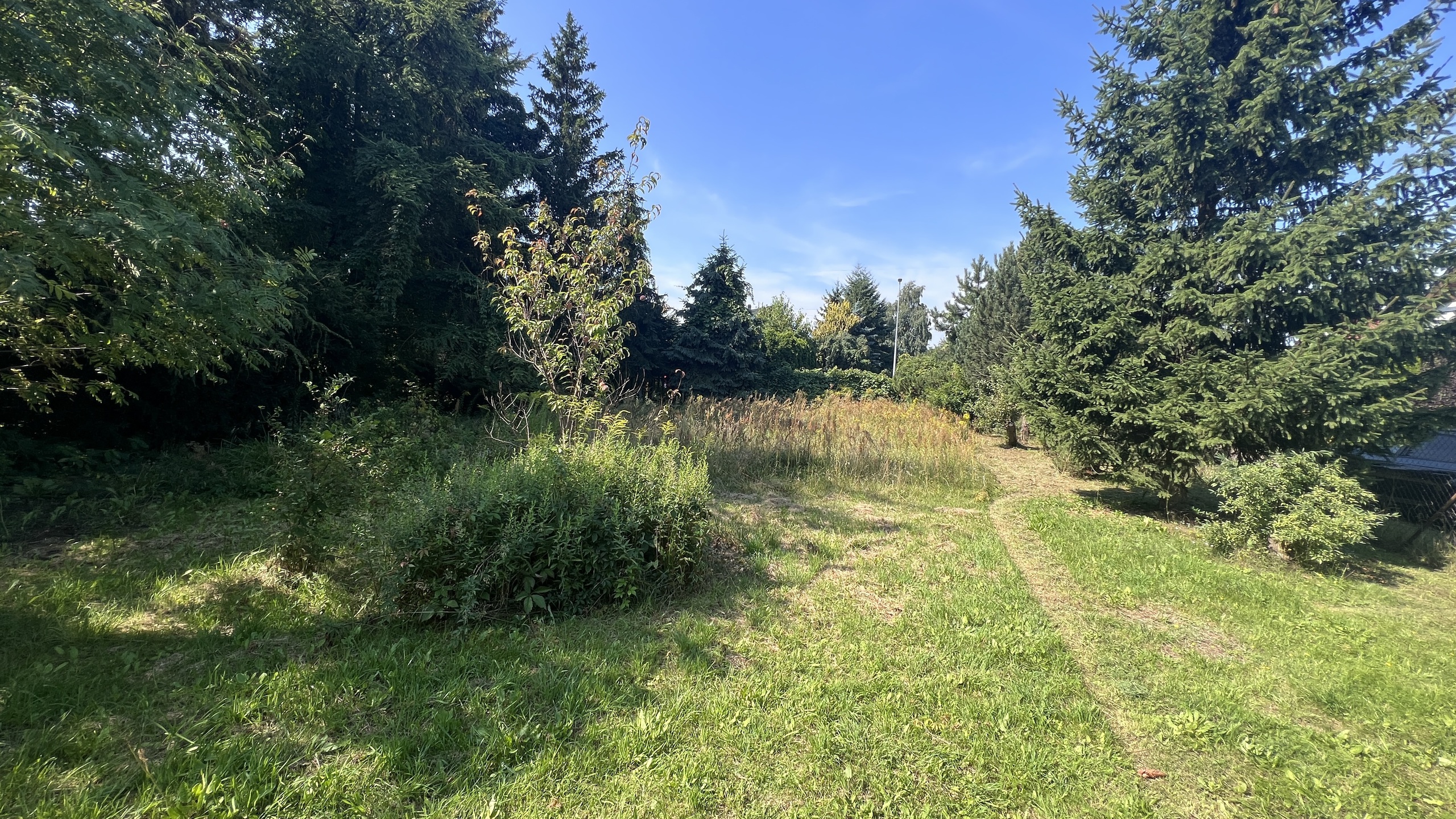 Malownicza działka w spokojne okolicy - zdjęcie 9