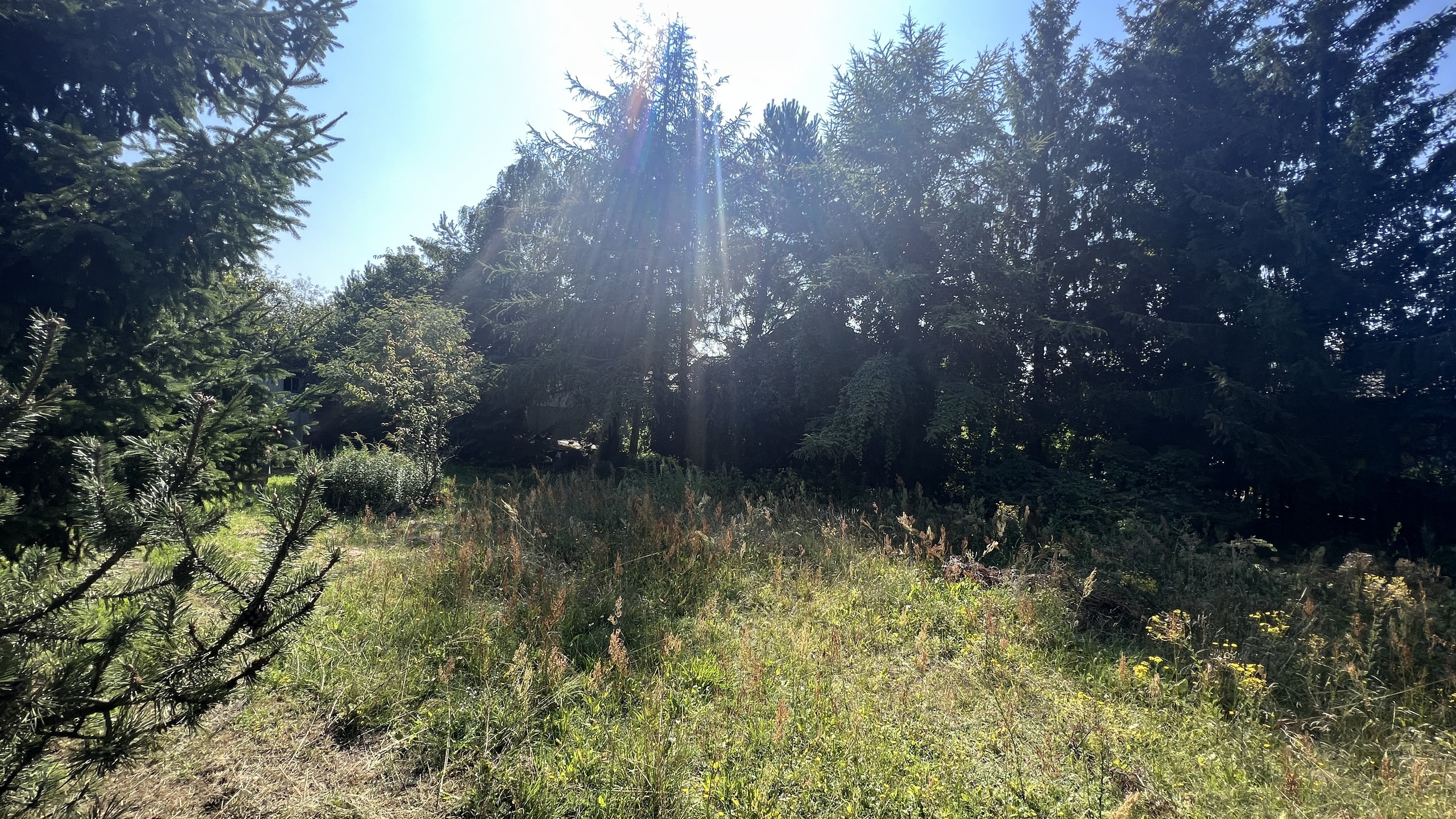 Malownicza działka w spokojne okolicy - zdjęcie 6