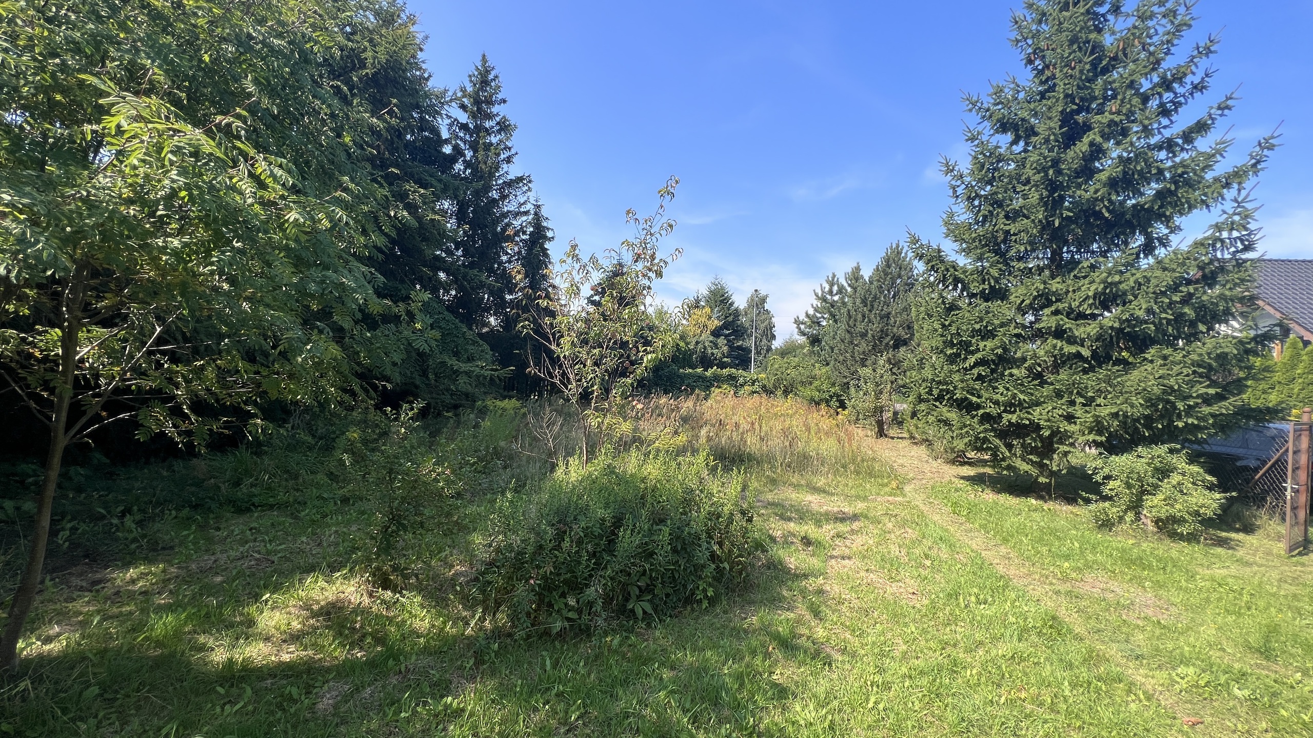 Malownicza działka w spokojne okolicy - zdjęcie 10