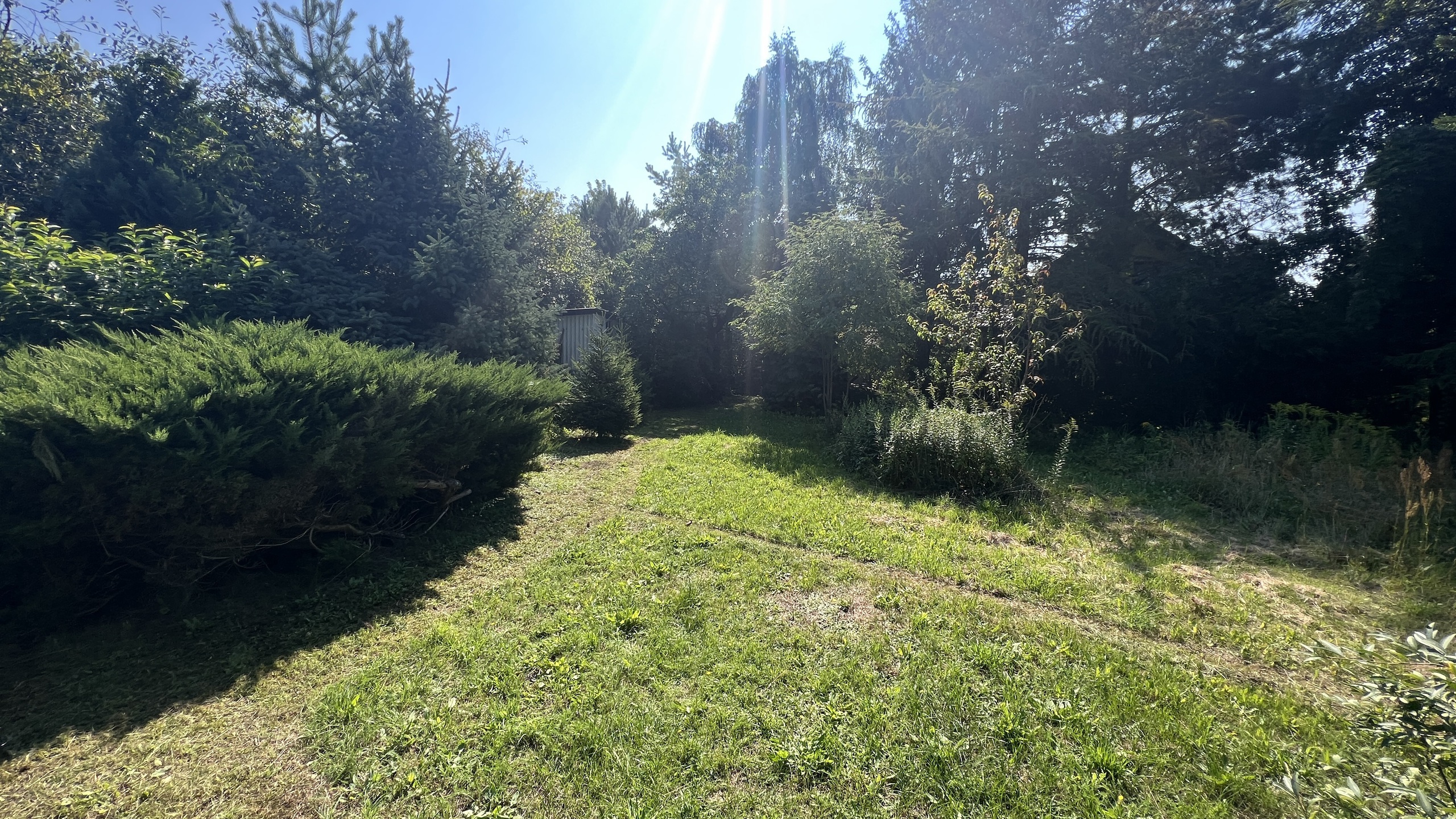 Malownicza działka w spokojne okolicy - zdjęcie 8