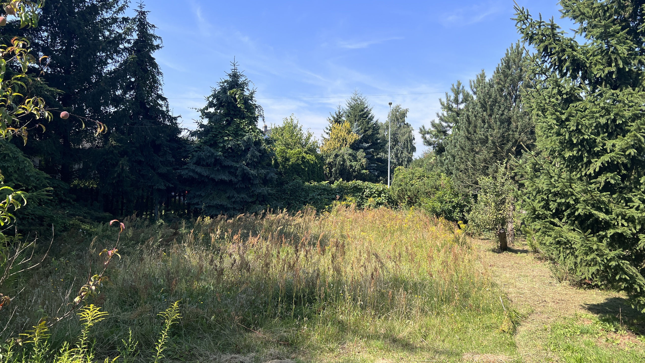 Malownicza działka w spokojne okolicy - zdjęcie 2