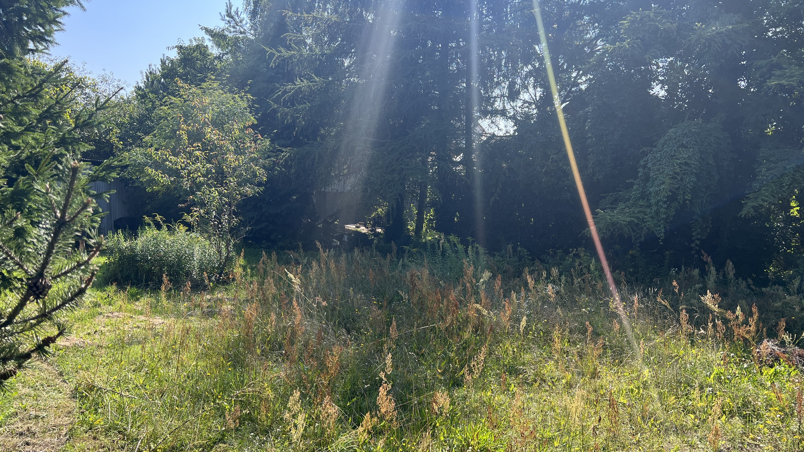 Malownicza działka w spokojne okolicy - zdjęcie 7