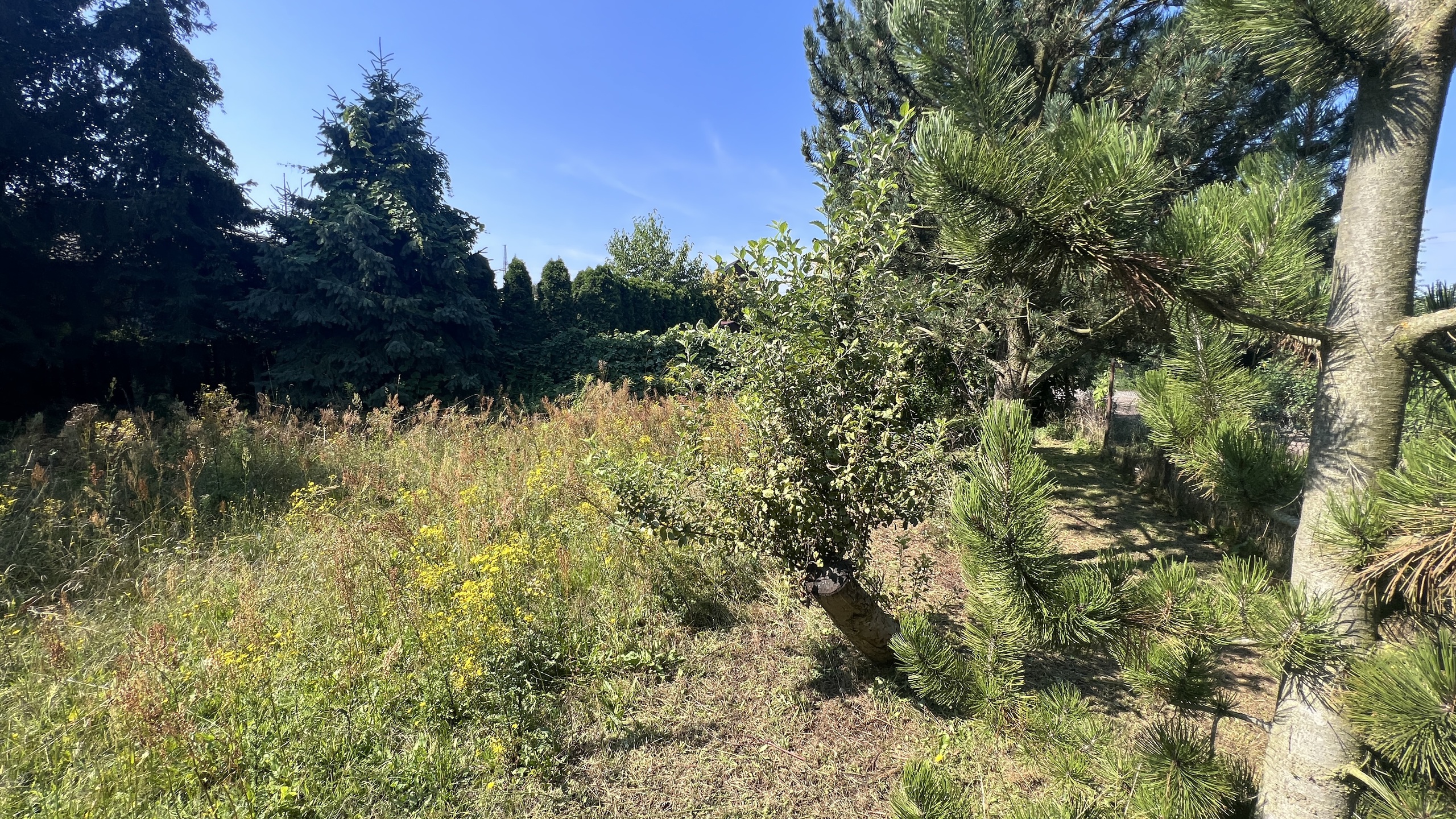 Malownicza działka w spokojne okolicy - zdjęcie 5