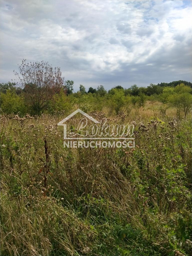 Działka budowlana 3001&nbsp;m², Pyrzyce - zdjęcie 1