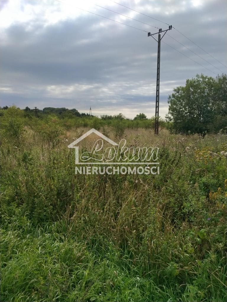 Działka budowlana 3001&nbsp;m², Pyrzyce - zdjęcie 3