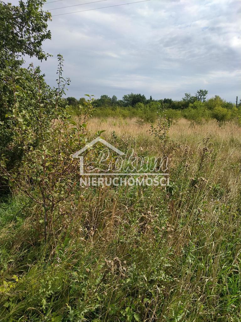 Działka budowlana 3001&nbsp;m², Pyrzyce - zdjęcie 2