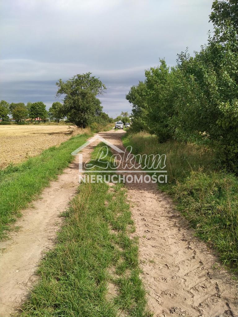 Działka budowlana 3001&nbsp;m², Pyrzyce - zdjęcie 4