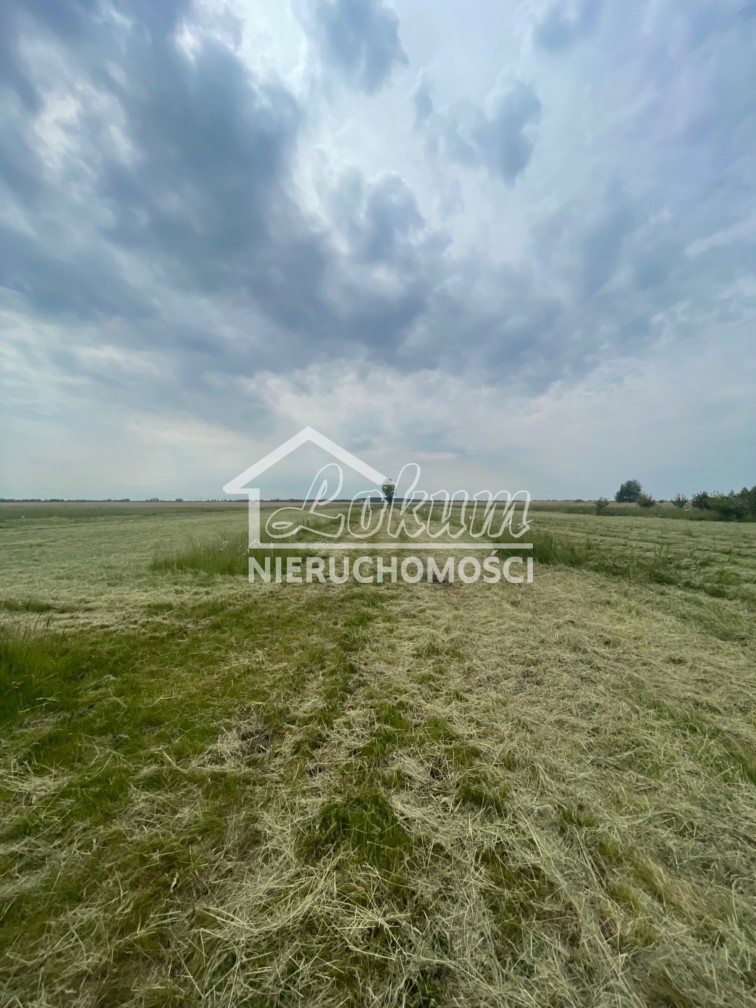 Działka rekreacyjna 500&nbsp;m², Wierzbno - zdjęcie 10