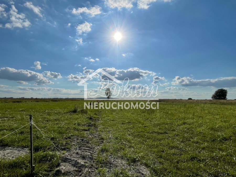 Działka rekreacyjna 500&nbsp;m², Wierzbno - zdjęcie 1