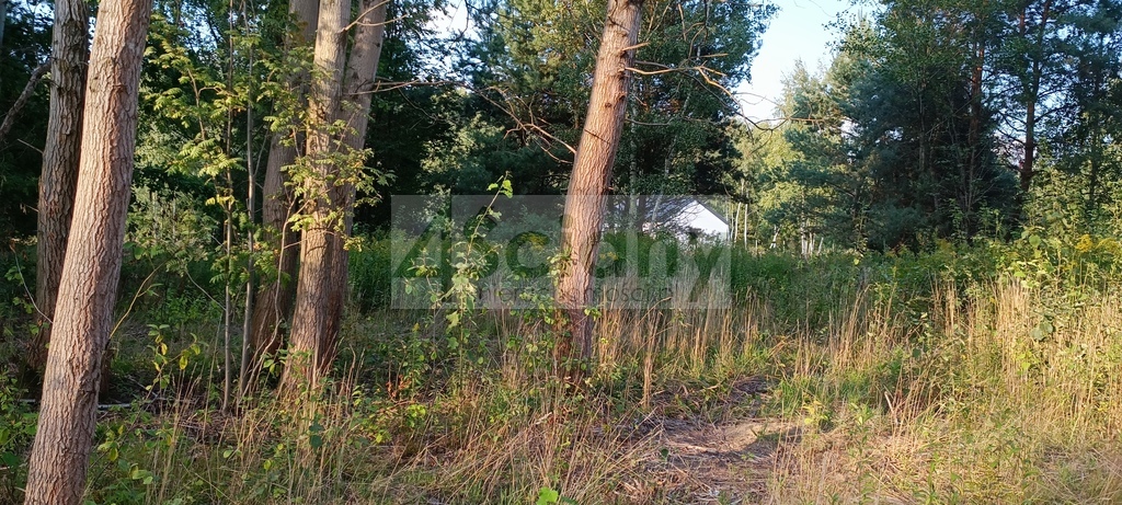 Działka budowlana 1500&nbsp;m², Czarny Las - zdjęcie 2