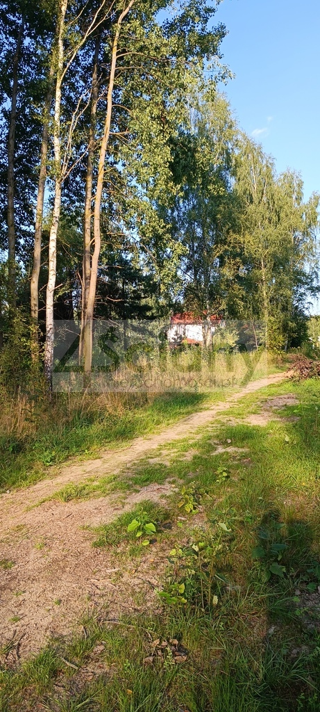 Działka budowlana 1500&nbsp;m², Czarny Las - zdjęcie 5