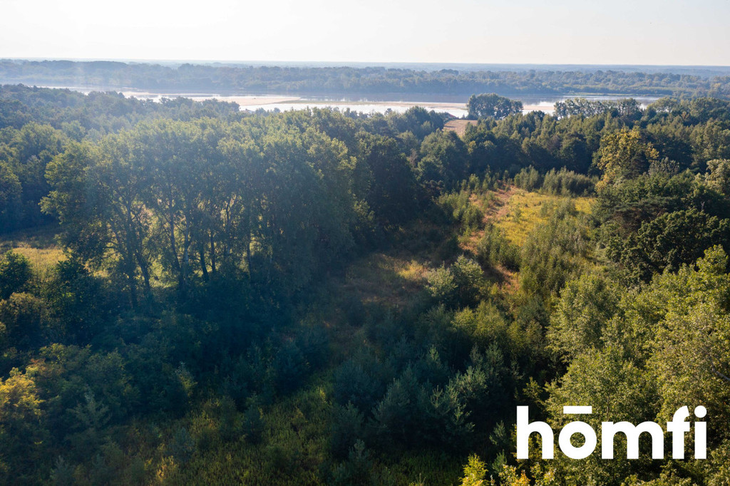 Działka rolna 1,83&nbsp;ha, Miączyn - zdjęcie 8