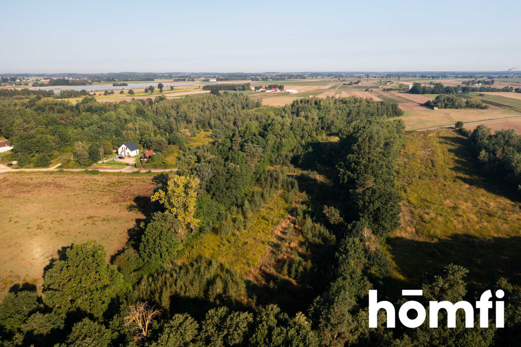 Działka rolna 1,83&nbsp;ha, Miączyn - zdjęcie 3
