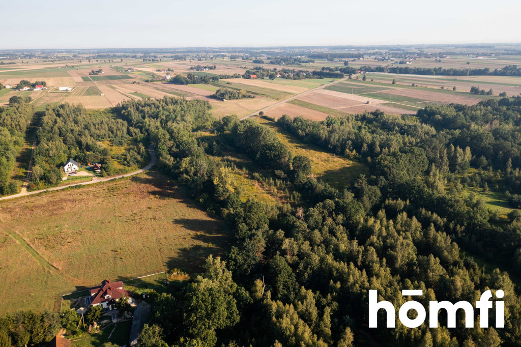 Działka rolna 1,83&nbsp;ha, Miączyn - zdjęcie 12