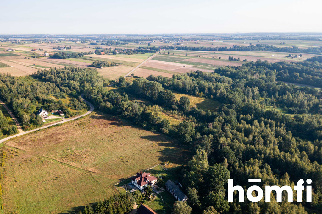 Działka rolna 1,83&nbsp;ha, Miączyn - zdjęcie 9