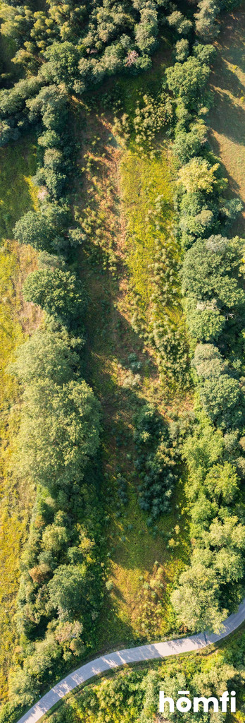 Działka rolna 1,83&nbsp;ha, Miączyn - zdjęcie 4