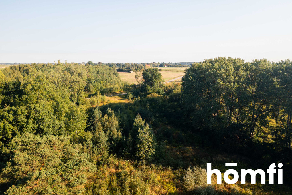 Działka rolna 1,83&nbsp;ha, Miączyn - zdjęcie 7