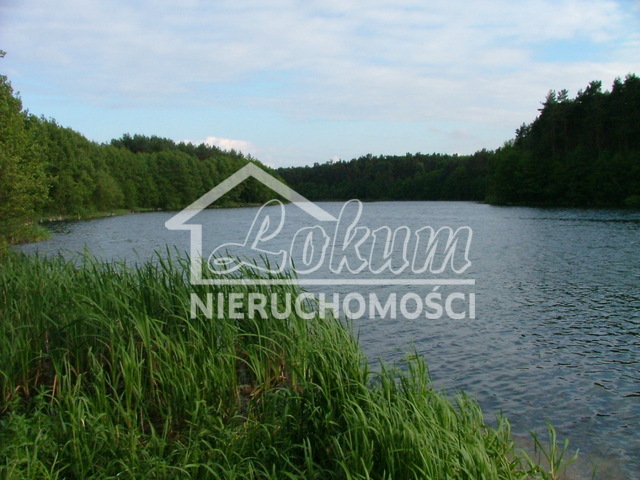 Działka rekreacyjna 596&nbsp;m², Żabin - zdjęcie 1
