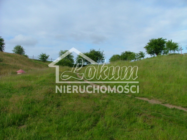 Działka rekreacyjna 596&nbsp;m², Żabin - zdjęcie 4