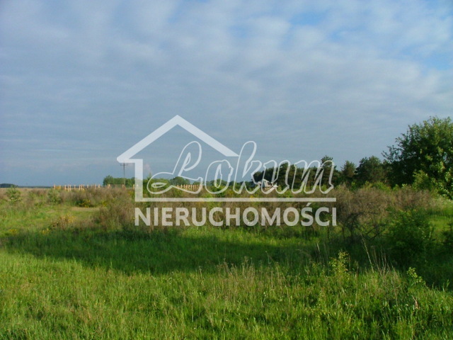 Działka rekreacyjna 596&nbsp;m², Żabin - zdjęcie 7