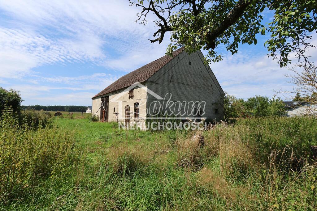 Działka budowlana 2574&nbsp;m², Glewice - zdjęcie 4