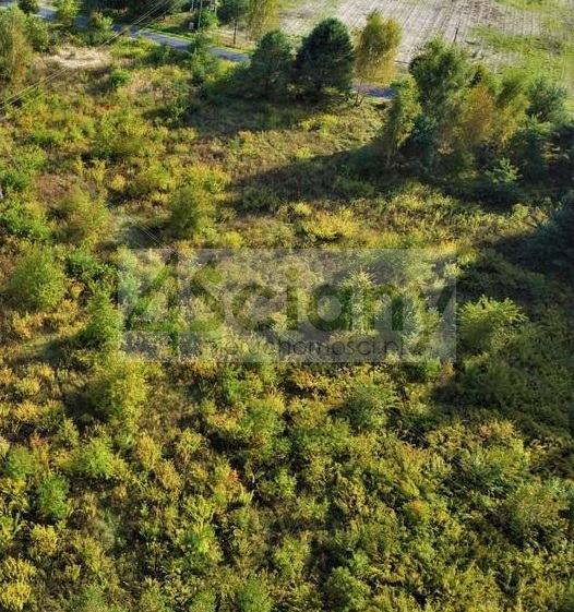 Działka budowlana 1300&nbsp;m², Bartoszówka - zdjęcie 4