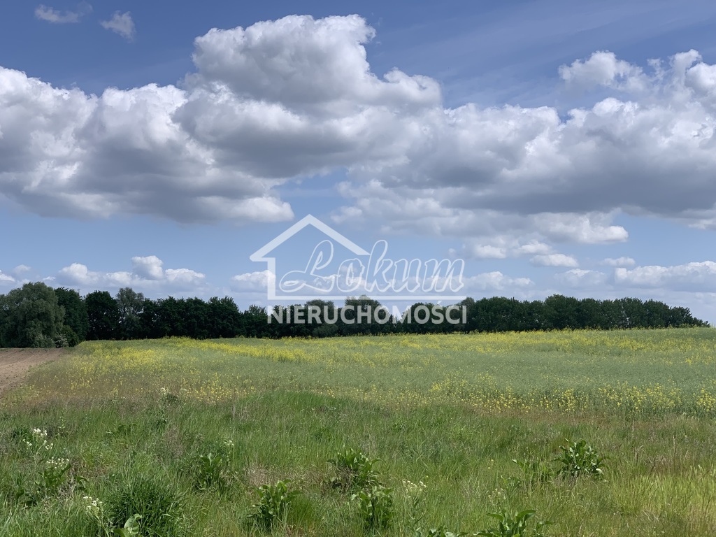 Działka rolna 1,22&nbsp;ha, Stobno, Pod Dębami - zdjęcie 1