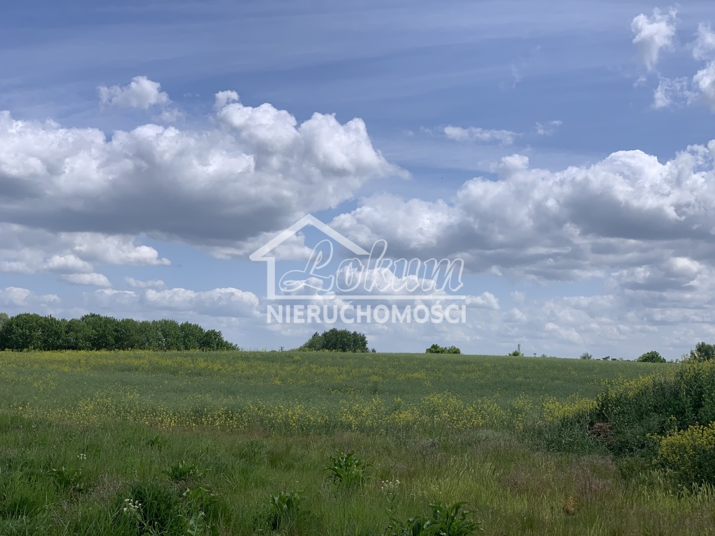 Działka rolna 1,22&nbsp;ha, Stobno, Pod Dębami - zdjęcie 2