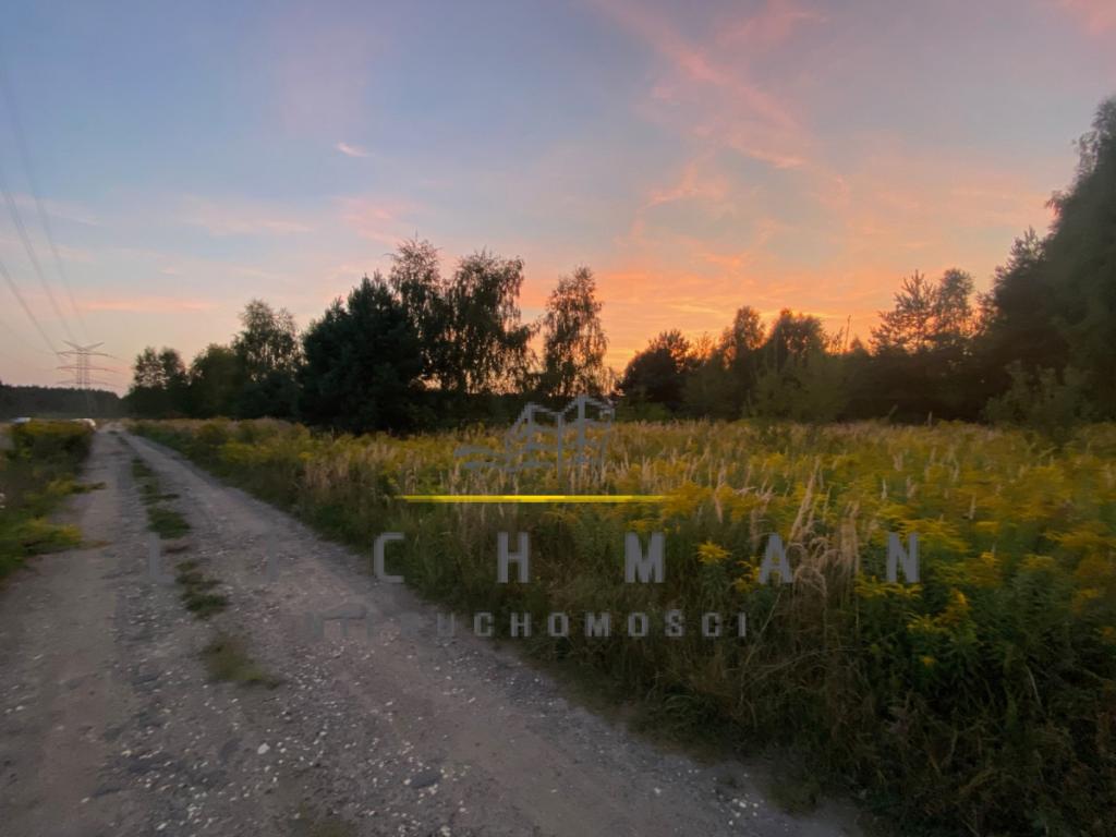 Działka inwestycyjna 1359 m², Borowa - zdjęcie 1