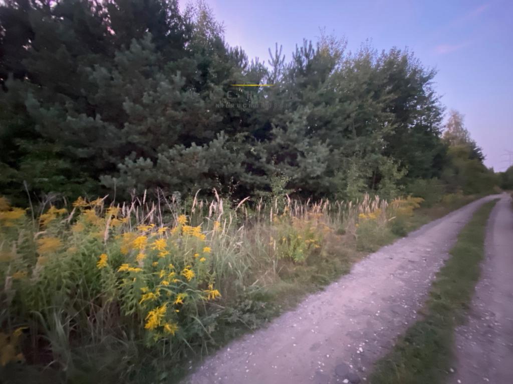 Działka inwestycyjna 1359 m², Borowa - zdjęcie 3