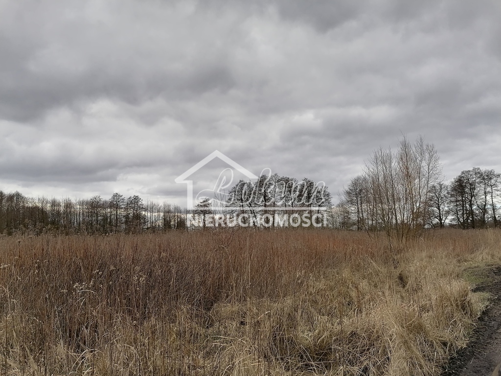 Działka budowlana 3930&nbsp;m², Szczecin - zdjęcie 3