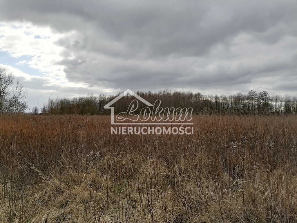 Działka budowlana 3930&nbsp;m², Szczecin - zdjęcie 2