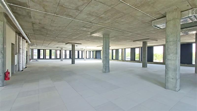Lokal usługowy do wynajęcia, 675&nbsp;m², Gdynia, Hutnicza - zdjęcie 2