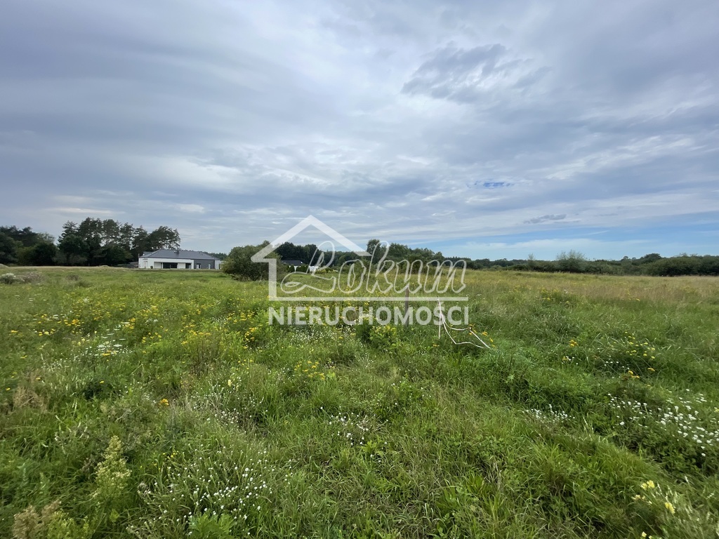 Działka budowlana 2494&nbsp;m², Tanowo - zdjęcie 1