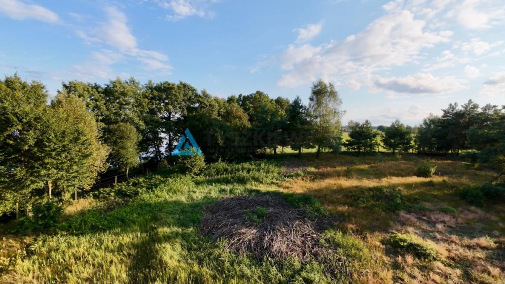Malownicza działka z linią brzegową jeziora - zdjęcie 27