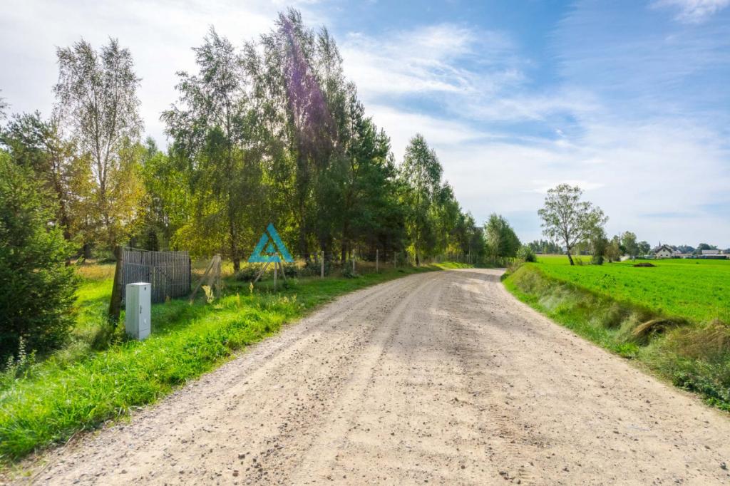 Malownicza działka z linią brzegową jeziora - zdjęcie 15