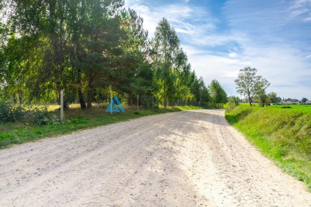 Malownicza działka z linią brzegową jeziora - zdjęcie 18