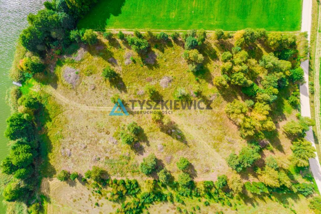 Malownicza działka z linią brzegową jeziora - zdjęcie 11