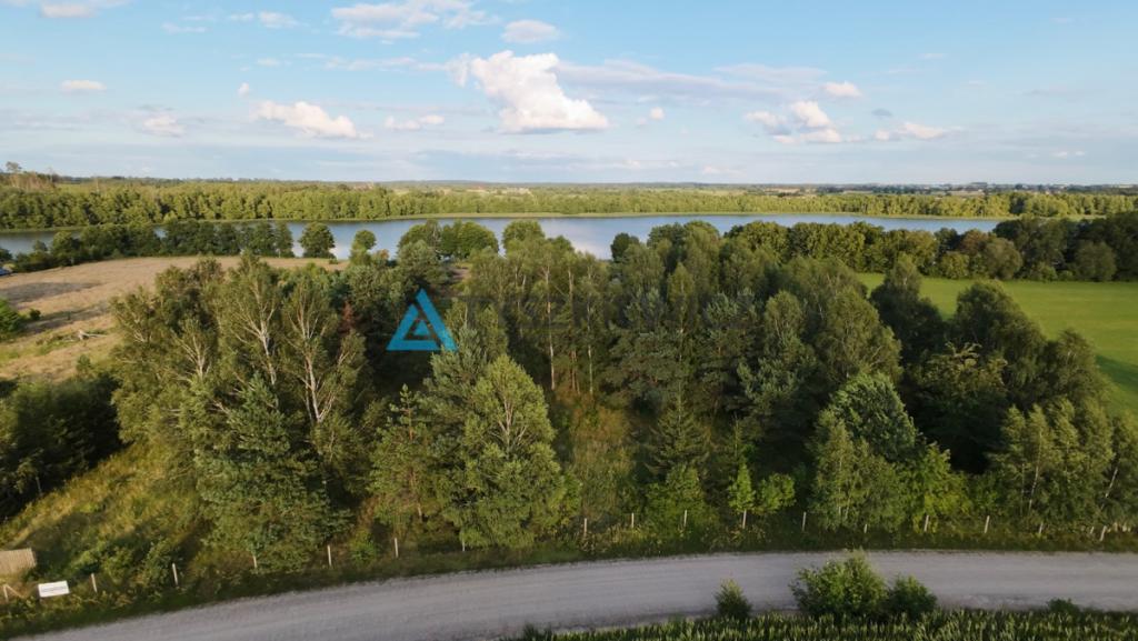 Malownicza działka z linią brzegową jeziora - zdjęcie 23