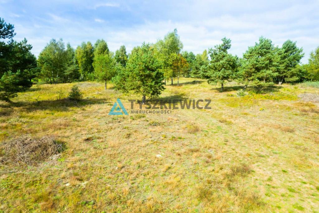 Malownicza działka z linią brzegową jeziora - zdjęcie 14
