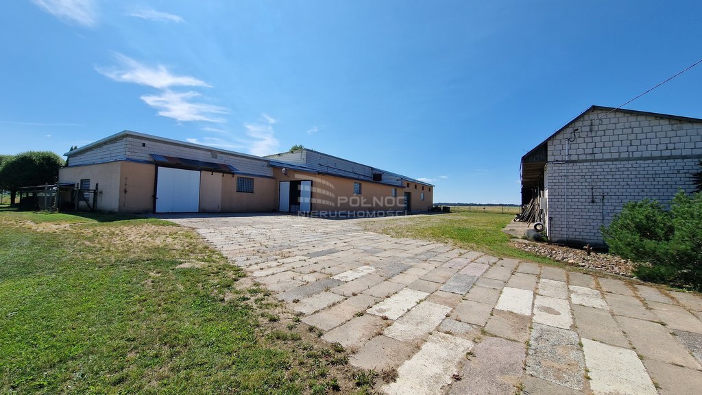 Magazyn na sprzedaż, 1000&nbsp;m², Topolany - zdjęcie 8