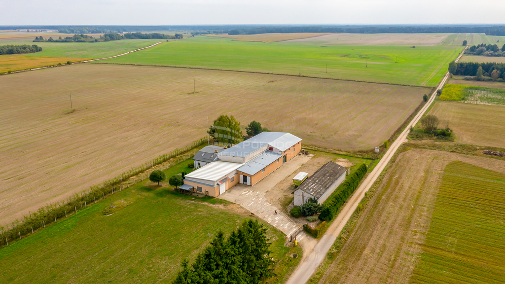 Magazyn na sprzedaż, 1000&nbsp;m², Topolany - zdjęcie 4